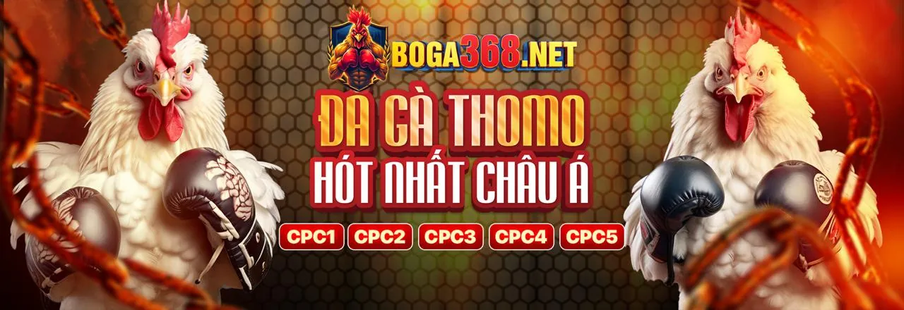 Các chương trình khuyến mãi và ưu đãi hấp dẫn tại vipsodo nhà cái